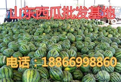 西瓜几月份上市 西瓜几月份最好吃