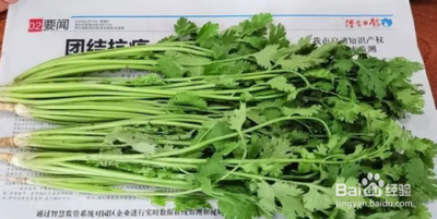 香榧采摘回来后如何处理 香榧发酵需要多少天