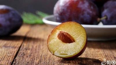 减肥吃西梅干会胖吗 什么时候吃西梅有利于减肥