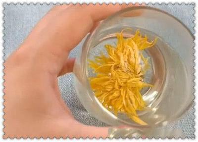 菊花茶每次泡多少朵 泡菊花茶前需要洗洗吗