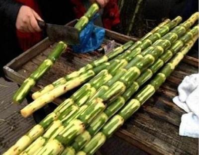 青皮甘蔗和紫皮甘蔗的区别 紫皮甘蔗好还是青皮甘蔗好