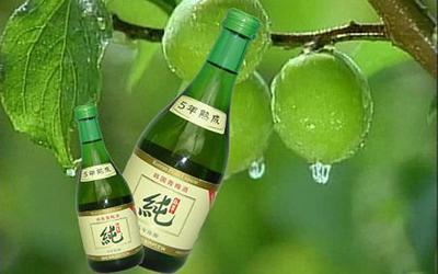 青梅酒不适合喝的人群 喝青梅酒的好处 青梅酒不适合喝的人群 喝青梅酒的好处