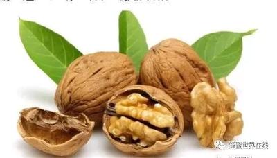 吃了核桃能喝蜂蜜水吗 核桃和蜂蜜一起吃有什么好处