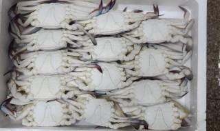 梭子蟹为什么不能清蒸 为什么冰冻的梭子蟹没肉