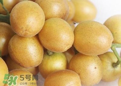 黄皮可以放冰箱吗 黄皮放冰箱可以放多久