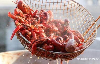 小龙虾不能和什么同吃 活小龙虾怎么处理干净 小龙虾不能和什么同吃 活小龙虾怎么处理干净