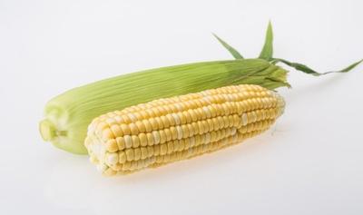 糯玉米和甜玉米哪个热量高 减肥甜玉米还是糯玉米好 糯玉米和甜玉米哪个热量高 减肥甜玉米还是糯玉米好
