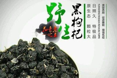 如何辨别黑枸杞真假 教你4招巧辩野生黑枸杞！