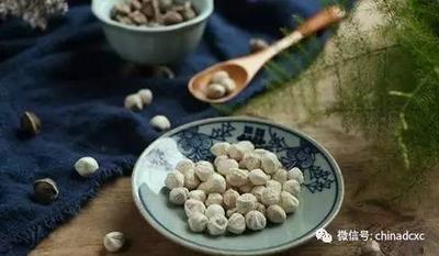 辣木籽生吃还是熟吃 辣木籽每天吃几粒最好