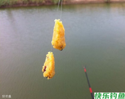 南瓜和鳊鱼能一起吃吗 鳊鱼不能和什么一起吃