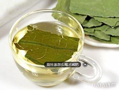 女性长期喝荷叶茶的危害 天天喝荷叶茶能减肥吗