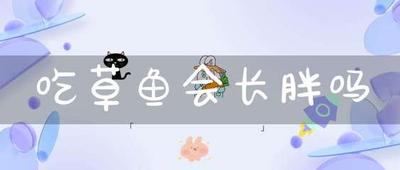 吃草鱼会长胖吗 什么鱼适合减肥吃