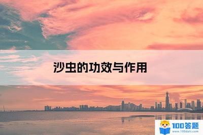 沙虫补肾吗 沙虫儿童可以吃吗