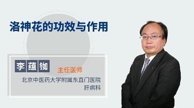 洛神花能天天喝吗 洛神花的功效与禁忌 洛神花能天天喝吗 洛神花的功效与禁忌