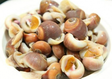 香螺蒸多长时间 香螺煮多久没有寄生虫