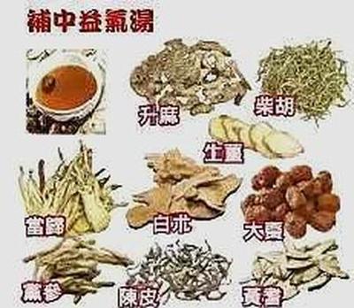 黄芪加什么去湿气 黄芪和白术可以一起泡水吗 黄芪加什么去湿气 黄芪和白术可以一起泡水吗