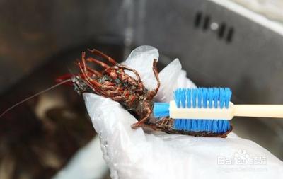 小龙虾要开背吗 小龙虾要怎么清洗 小龙虾要开背吗 小龙虾要怎么清洗