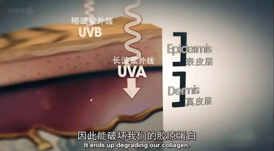 防晒霜分物理和化学吗 物理防晒霜好还是化学防晒霜好
