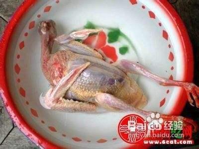 哪些人不宜喝鸽子汤 产妇月子餐鸽子汤的做法