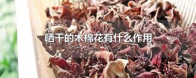 晒干的木棉花有什么作用 晒干的木棉花可以直接泡水喝吗