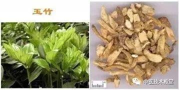 玉竹怎么吃最好 玉竹是寒性还是热性