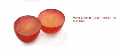 无籽红提为什么不能多吃 无籽红提的皮可以吃吗 无籽红提为什么不能多吃 无籽红提的皮可以吃吗