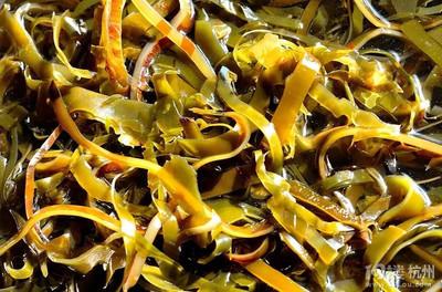 羊肉汤里放菠菜可以吗 羊肉汤里可以放木耳吗 羊肉汤里放菠菜可以吗 羊肉汤里可以放木耳吗