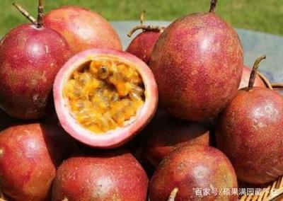 百香果热量高吗 百香果和什么搭配减肥效果好 百香果热量高吗 百香果和什么搭配减肥效果好