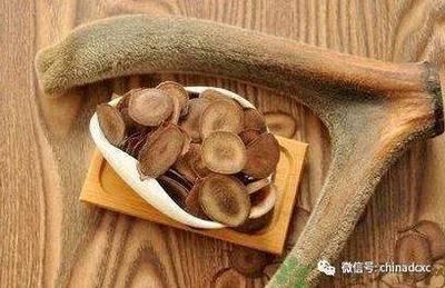 鹿茸适合什么人群服用 鹿茸的禁忌人群 鹿茸适合什么人群服用 鹿茸的禁忌人群