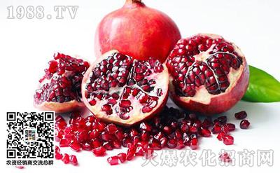 软籽石榴营养价值及功效 石榴热量糖分高么