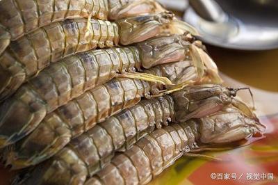 虾爬子几月份最肥 虾爬子几月份有黄 虾爬子几月份最肥 虾爬子几月份有黄