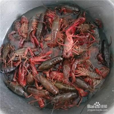 为什么小龙虾煮出来肉是散的 小龙虾怎么做肉才不会散