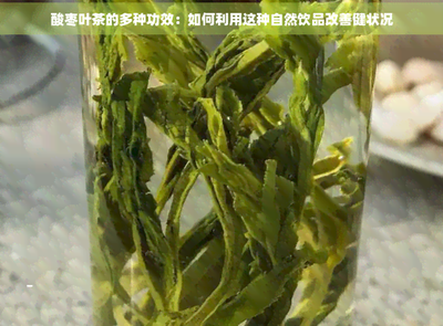 酸枣叶的功效与作用 酸枣叶的副作用 酸枣叶的功效与作用 酸枣叶的副作用