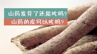 山药发芽了以后还能吃吗 蒸山药带皮好还是削皮好