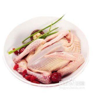 鸽子汤和什么相克 鸽子汤里可以放玉米吗