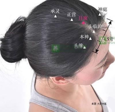 目窗作用和功效 目窗的准确位置图视频 目窗作用和功效 目窗的准确位置图视频