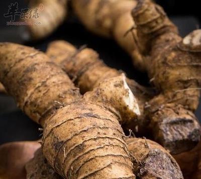 黄精煲鸡有什么功效 黄精和什么一起煲汤好 黄精煲鸡有什么功效 黄精和什么一起煲汤好