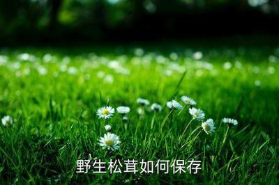 松茸放冰箱冷藏还是冷冻 松茸冷冻后如果想吃如何解冻
