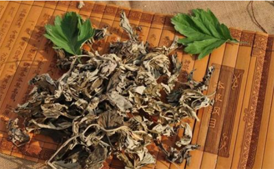 艾草和菖蒲可以放在卧室吗 艾草挂在哪里合适 艾草和菖蒲可以放在卧室吗 艾草挂在哪里合适