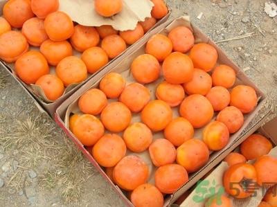 柿子可以放冰箱保鲜保存吗 柿子不能和什么东西一起吃 柿子可以放冰箱保鲜保存吗 柿子不能和什么东西一起吃