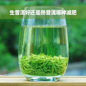 生普洱和熟普洱的区别 普洱茶怎么喝减肥效果好