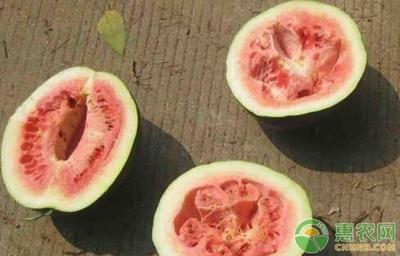 西瓜空心是什么原因造成的 西瓜空心还能吃吗