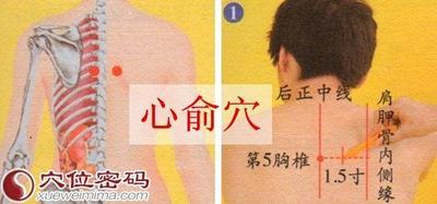 心俞的准确位置 心俞疼痛是什么引起的