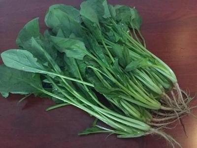 菠菜煮汤要焯水吗 菠菜焯水怎么保持翠绿