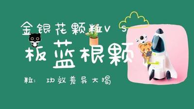 金银花和板蓝根的区别 金银花板蓝根哪个好