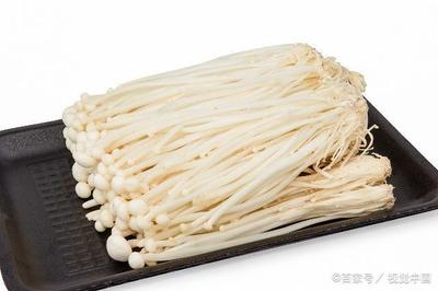 金针菇不能消化为什么还吃 金针菇不好消化有营养吗 金针菇不能消化为什么还吃 金针菇不好消化有营养吗