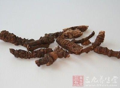羌活独活的功效与作用 羌活独活的食用方式和注意事项 羌活独活的功效与作用 羌活独活的食用方式和注意事项