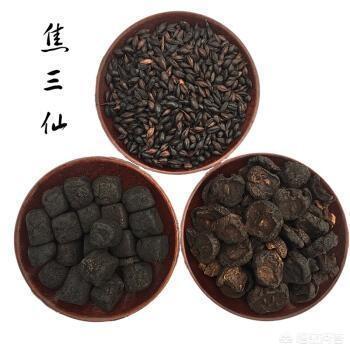 生麦芽泡水喝的功效 回奶是喝炒麦芽水还是生麦芽水喝几天