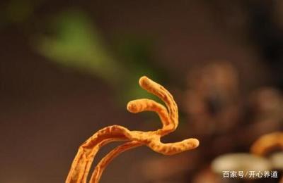 虫草花怎么吃效果最好 虫草花哪些人不能吃