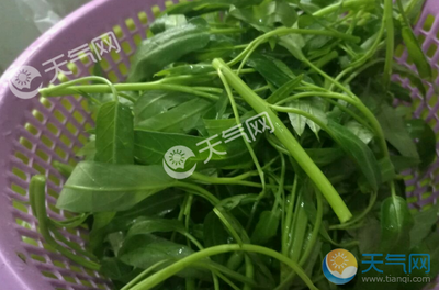 空心菜叶子可以吃吗 空心菜怎么炒好吃